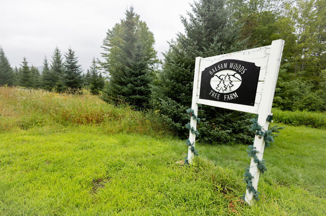 Photography highlight placeholder two